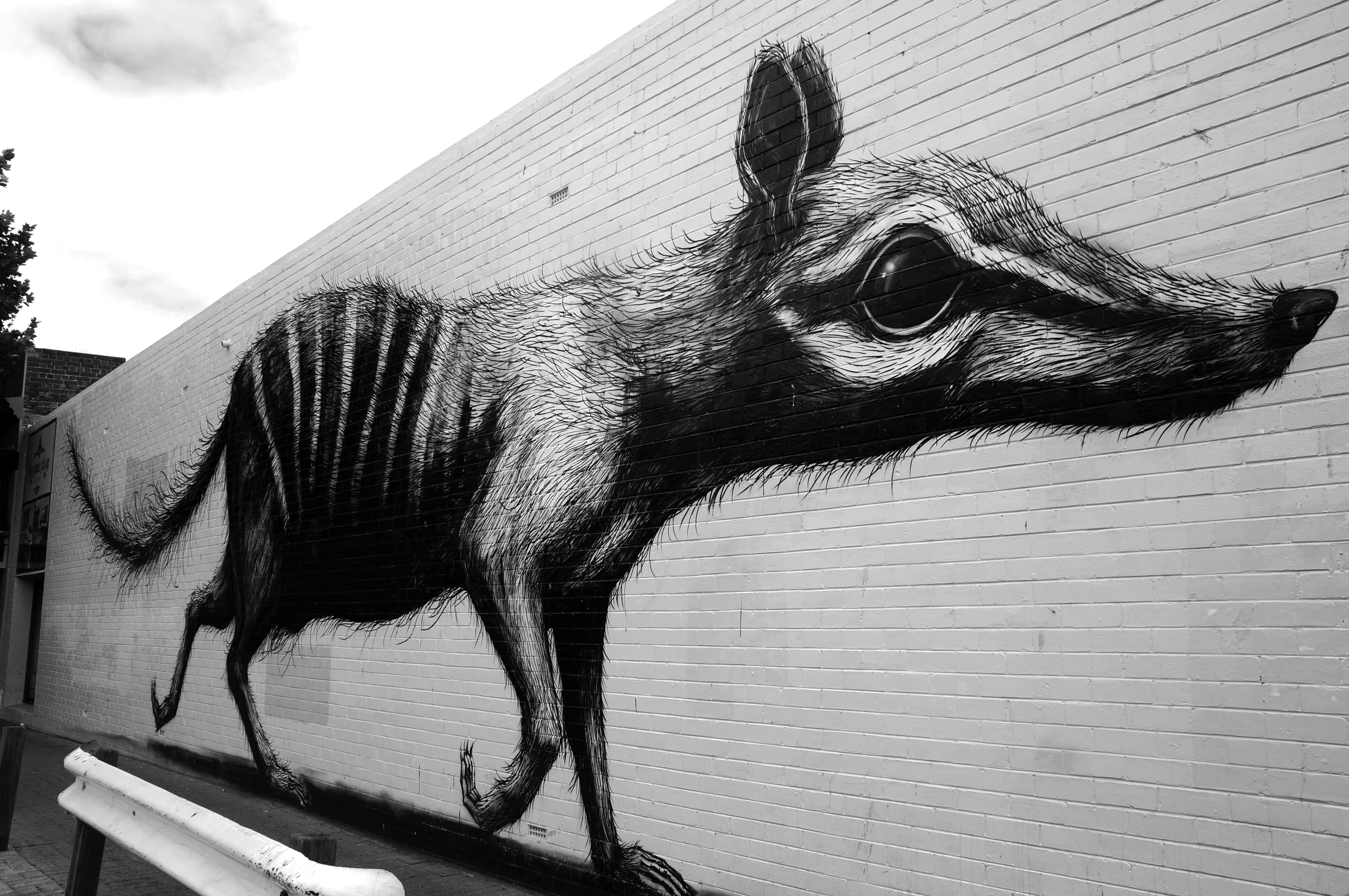 Tag in Fremantle