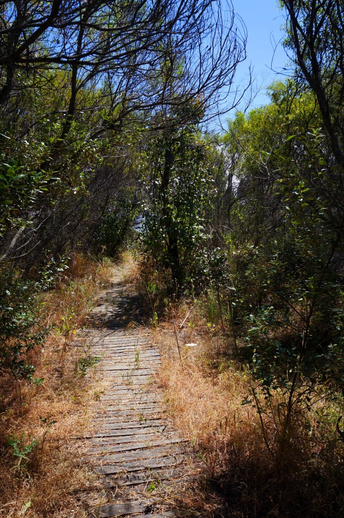 Naragebup - Rockhingham Regional Environment Centre